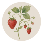 Strawberry Logo