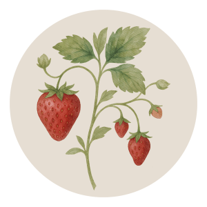 Strawberry Logo
