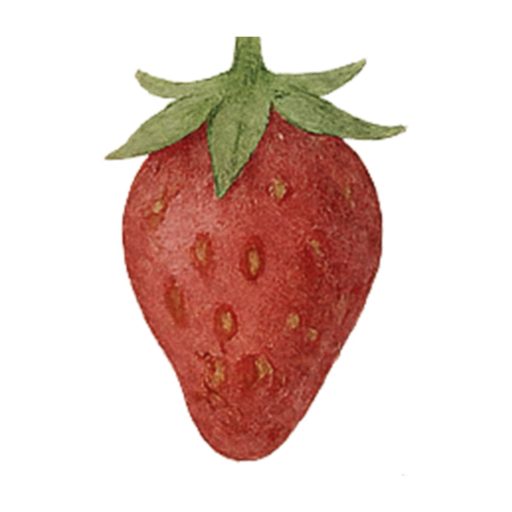 Single Strawberry
